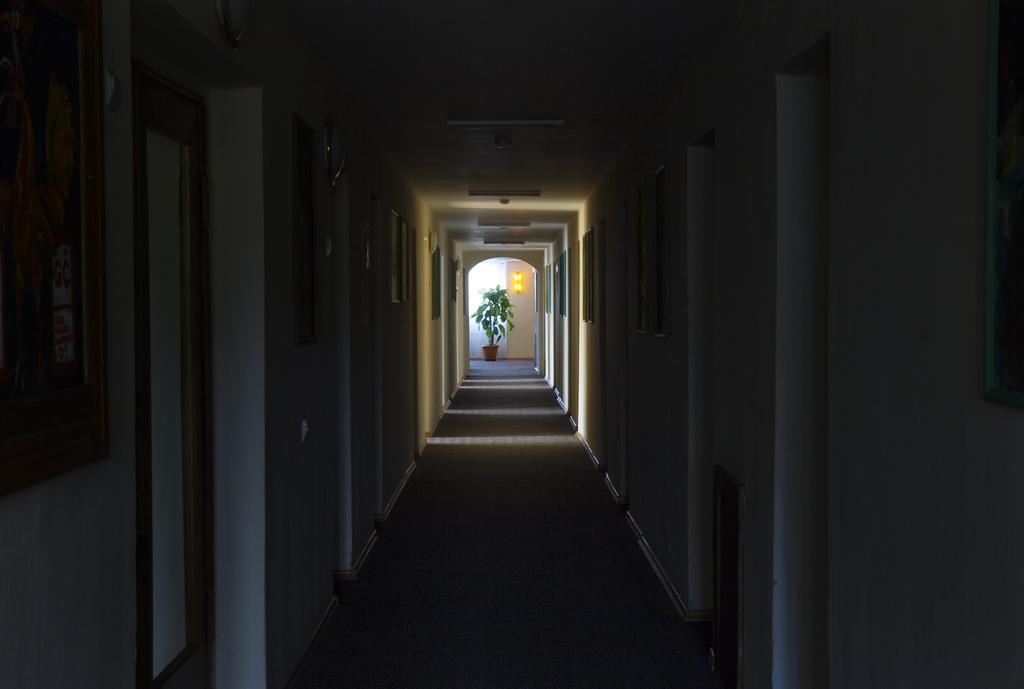 Dzukija Hotel Alytus Dış mekan fotoğraf